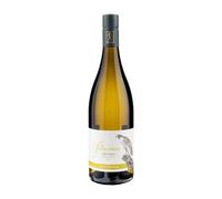 Falkenstein Alto Adige Val Venosta Sauvignon 2019, vino bianco trentino, Sudtirol DOC, 13% vol, 750 ml