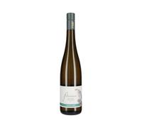 Falkenstein Riesling 2024 Vino Bianco Alto Adige Sudtirol DOC 13% vol 750 ml