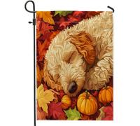 Fall Fun - Bandiere da giardino per cani, 30,5 x 45,7 cm, double face, per decorazione esterna, foglia d'acero autunnale, bandiera per animali domestici, bandiera per casa, cucciolo all'aperto piccolo