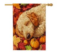 Fall Fun Golden Doodle Dog House Flag 71,1 x 101,2 cm double face per decorazione esterna, foglia d'acero autunnale Pet Front Yard Canvas Home Flag, Puppy Outdoor Pattern Backyard Lawn Flag