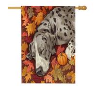 Fall Fun Great Dane Dog House Flag 71,1 x 101,2 cm double face per esterni decorativa, autunno foglia d'acero Pet Front Yard Canvas Home Flag, Puppy Outdoor Pattern Backyard Lawn Flag