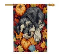Fall Fun Schnauzer - Bandiere per la casa del cane, 71 x 101 cm, per esterni, con foglie d'acero autunnali, bandiere verticali standard per la casa, per la casa, il cortile e il cortile, decorazione