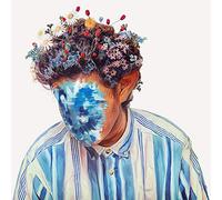 fall of hobo johnson--Import USA