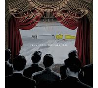 Fall Out Boy - From Under The Cork Tree (4 LP)