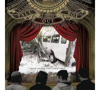 Fall Out Boy From Under the Cork Tree (Vinyl LP) 12" Album