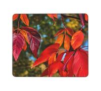 Fall Red Leaves And Fruits Mousepad Bordi Cuciti Tappetino per Mouse Piccolo Mouse Pad for Gaming Computer Accessori Scrivania 25X30Cm