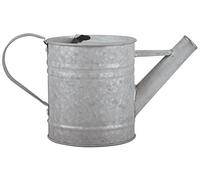 Fallen Fruits 0,75 Litri annaffiatoio in Zinco Anticato