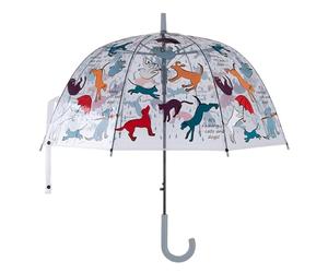 Fallen Fruits - Ombrello trasparente con scritta "It's Raining Cats & Dogs