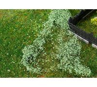 Faller 181619 - Foglio per foglie, colore: Verde medio