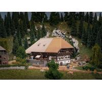 Faller 232010 - Modello Anniversario Schwarzwaldhof con 2 figure - Scartamento N