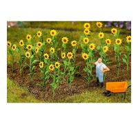 Faller 95523-16 Girasole, Accessorio per modellismo di ferrovia