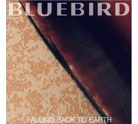 Falling Back to Earth