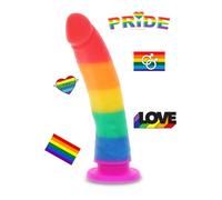 fallo anale in silicone arcobaleno pride dildo plug anale tappo dilatatore