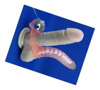 Fallo anale indossabile con anello fallico vibrante dildo doppia penetrazione