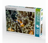 Falscher Clown - Puzzle da 1000 pezzi, soggetto: pesce anemone