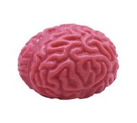 False palline antistress cerebrali - Gel morbido realistico, lento, finto organo cerebrale comprimibile | gadget da ufficio per ridurre la tensione, decorazione spaventosa per eventi, gioco