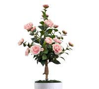 False Plants - Indoor Front Porch Piante Falso Tree, Camellia with Ground Stakes Spring Decor | for Indoor Outdoor Garden Patio Landscape Office Farmhouse Women Birthday Party Accessories