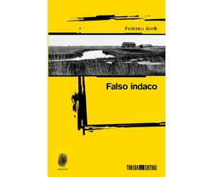 Falso indaco [Paperback] [Feb 24, 2025] Anelli, Federico