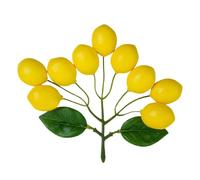 Falso limone giallo, limone artificiale con decorazioni foglie,Artificiale 9 Frutti artificiali di simulazione di limone - Frutti artificiali artificiali, modello di catena di frutta, accessori per