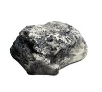 Falso sasso nascondiglio, Nascondi-chiavi finto sasso da giardino, pietra esterno, geocaching