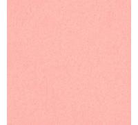 Fama Feltro A46 Rosa Chiaro 2 mm 23 x 30 cm 10 Pezzi