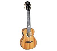 Fame Mahogany Standard Uke - Ukulele concerto