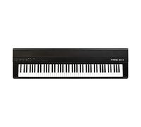 Fame SP-2 88-Note Stage Piano (Black) - Pianoforte da palco