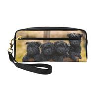 Famiglia Affenpinscher Cuccioli Cani Neri Scimmia, Borsa per il trucco Borsa per cosmetici Borsa da viaggio portatile da toilette Astuccio in pelle per donne e ragazze