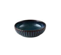Famiglia giapponese semplice e squisito retrò resistente ad alta temperatura pratico ceramica piatto poco profondo piatto-forno sapore blu piatto