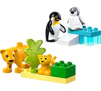Famiglie di animali: pinguini e leoni