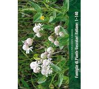 Famiglie di piante vascolari italiane 1-140. Con CD-ROM