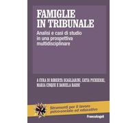 Famiglie in tribunale. Analisi e casi di studio in una prospettiva multidisciplinare