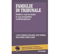 Famiglie in tribunale. Analisi e casi di studio in una prospettiva multidisciplinare