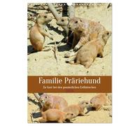 Familie Präriehund (Wandkalender 2026 DIN A3 hoch), CALVENDO Monatskalender: Zu Gast bei den possierlichen Erdhörnchen