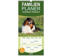 Familienplaner 2026 - Australian Shepherd - Hütehunde mit Familienanschluss mit 5 Spalten (Wandkalender, 21 x 45 cm) CALVENDO: Bildkalender mit 13 wunderschönen Aufnahmen des Australian Shepherd