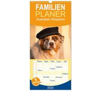 Familienplaner 2026 - Australian Shepherd mit 5 Spalten (Wandkalender, 21 x 45 cm) CALVENDO: Mit den Aussies durch's Jahr...