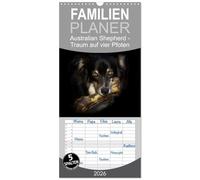 Familienplaner 2026 - Australian Shepherd - Traum auf vier Pfoten mit 5 Spalten (Wandkalender, 21 x 45 cm) CALVENDO: Australian Shepherd - Ihr Begleiter durch das Jahr