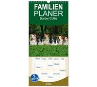 Familienplaner 2026 - Border Collie 2026 mit 5 Spalten (Wandkalender, 21 x 45 cm) CALVENDO: Auf 13 wunderschönen Fotos zeigt die Tierfotografin Sigrid Starick Border Collies in vielen Farben