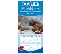 Familienplaner 2026 - Briardbabys in ihren ersten Wochen mit 5 Spalten (Wandkalender, 21 x 45 cm) CALVENDO: Zauberhafte Briardwelpen entdecken spielerisch die Welt.