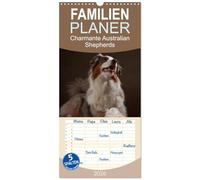 Familienplaner 2026 - Charmante Australian Shepherds mit 5 Spalten (Wandkalender, 21 x 45 cm) CALVENDO: Australian Shepherds im Portrait
