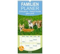 Familienplaner 2026 - Chihuahua - Kleine Hunde ganz groß mit 5 Spalten (Wandkalender, 21 x 45 cm) CALVENDO: Die kleinste Hunderasse der Welt auf 13 faszinierenden Fotos