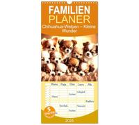 Familienplaner 2026 - Chihuahua-Welpen - Kleine Wunder mit 5 Spalten (Wandkalender, 21 x 45 cm) CALVENDO: Ein Jahr voller flauschiger Chihuahua-Freude