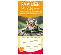 Familienplaner 2026 - Chihuahuas - Kleine Hunde - große Temperamentbündel mit 5 Spalten (Wandkalender, 21 x 45 cm) CALVENDO: Vorwitzige Chihuahuas begleiten durchs ganze Jahr