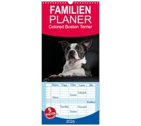 Familienplaner 2026 - Colored Boston Terrier 2026 mit 5 Spalten (Wandkalender, 21 x 45 cm) CALVENDO: Der Boston Terrier in seiner Farbvielfalt