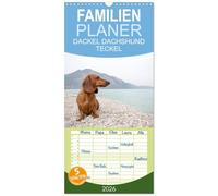 Familienplaner 2026 - DACKEL DACHSHUND TECKEL 2026 mit 5 Spalten (Wandkalender, 21 x 45 cm) CALVENDO: Mit dem Dackel durch's Jahr