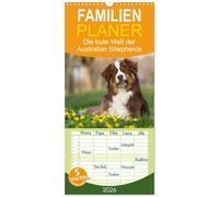 Familienplaner 2026 - DIE BUNTE WELT DER AUSTRALIAN SHEPHERDS mit 5 Spalten (Wandkalender, 21 x 45 cm) CALVENDO: Mit den Aussies unterwegs