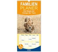 Familienplaner 2026 - Die Magie der Könige der Tiere mit 5 Spalten (Wandkalender, 21 x 45 cm) CALVENDO: Das Leben der Löwen - alltäglich und dennoch voller Magie
