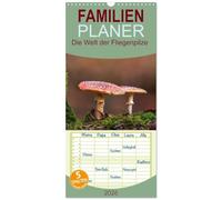 Familienplaner 2026 - Die Welt der Fliegenpilze mit 5 Spalten (Wandkalender, 21 x 45 cm) CALVENDO: Fliegenpilze in verschiedenen Perspektiven.