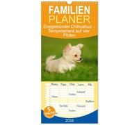 Familienplaner 2026 - Enegiebündel Chihuahua - Temperament auf vier Pfoten mit 5 Spalten (Wandkalender, 21 x 45 cm) CALVENDO: Die kleinste Hunderasse der Welt auf 13 faszinierenden Fotos