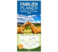 Familienplaner 2026 - Haflinger im Thüringer Wald mit 5 Spalten (Wandkalender, 21 x 45 cm) CALVENDO: Haflinger im Thüringer Wald sind eine faszinierende Kombination aus Schönheit und Robustheit.